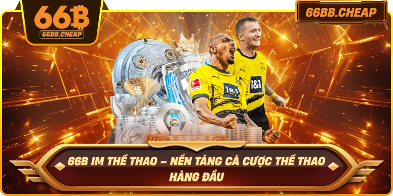66B IM Thể Thao – Nền Tảng Cá Cược Thể Thao Hàng Đầu