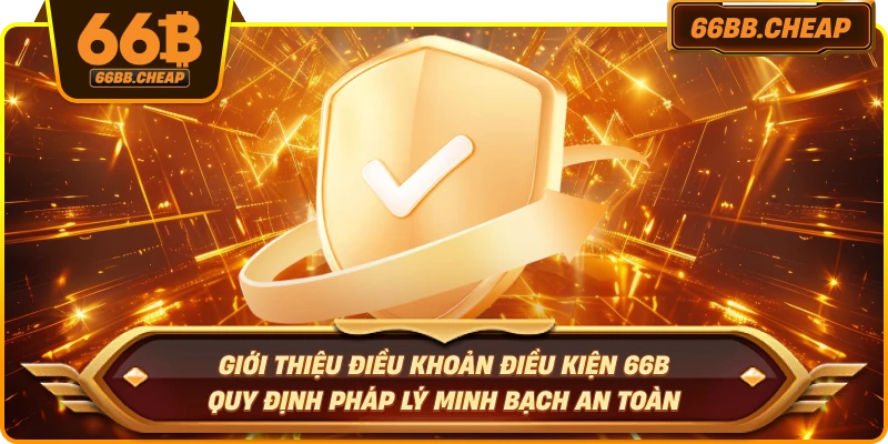 Giới thiệu điều khoản điều kiện 66B – Quy định pháp lý minh bạch an toàn